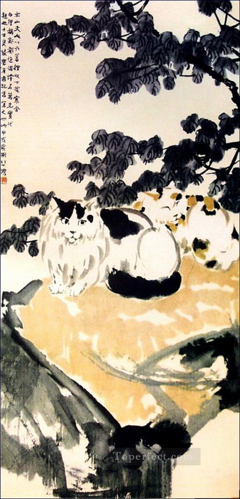 Xu Beihong a cat traditional China Oil Paintings